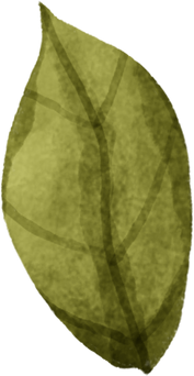 Watercolor Individual Leaf